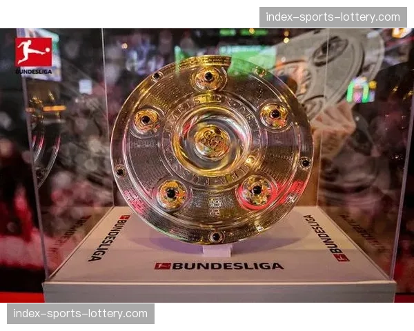 “战术板”球迷论坛兴起,德甲球迷热衷用公开数据模型分析主队表现 “战术板”球迷论坛兴起,德甲球迷热衷用公开数据模型分析主队表现