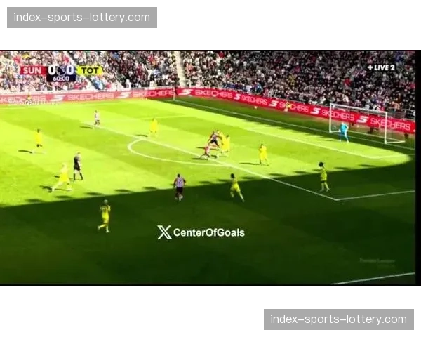 热刺0-1不敌桑德兰遭遇14轮不胜，跌入英超降级区